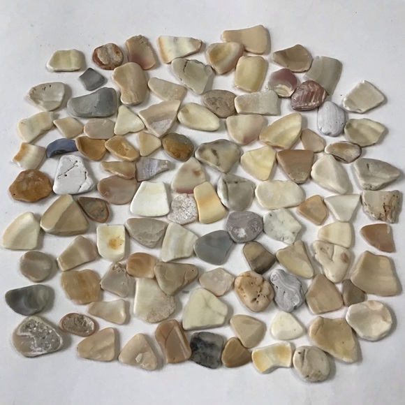 100 Seashell Fragments Smooth Natural Clam Shell Pieces Jewelry Art Crafts Decor - Picture 6 of 6